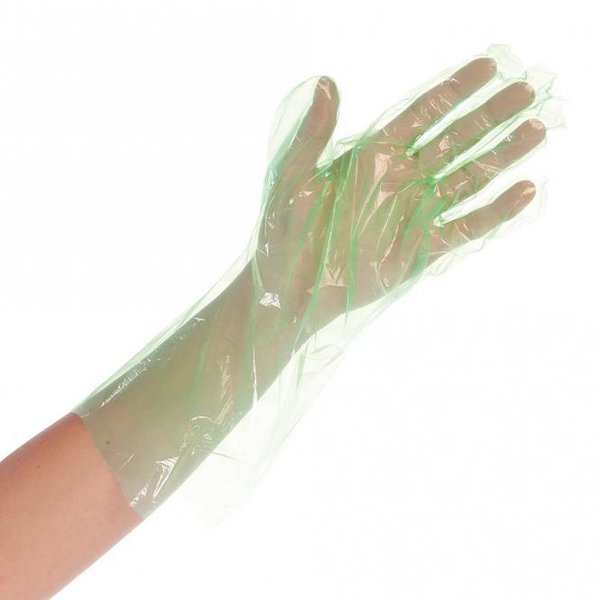 Handschuhe SOFTLINE, Einheitsgröße L 38 cm, 50 x 100 Stück, grün