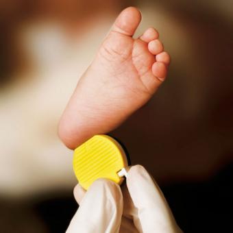 Baby Sicherheits-Blutlanzetten Neugeboren, Einstichtiefe 1,0 mm 2,5 mm gelb 50 Stück